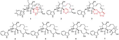 Hydrazine-Containing Heterocycle Cytochalasan Derivatives From Hydrazinolysis of Extracts of a Desert Soil-Derived Fungus Chaetomium madrasense 375